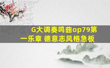 G大调奏鸣曲op79第一乐章 德意志风格急板